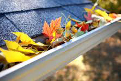 GUTTER CLEAN UP LANDSCAPING MARYLAND