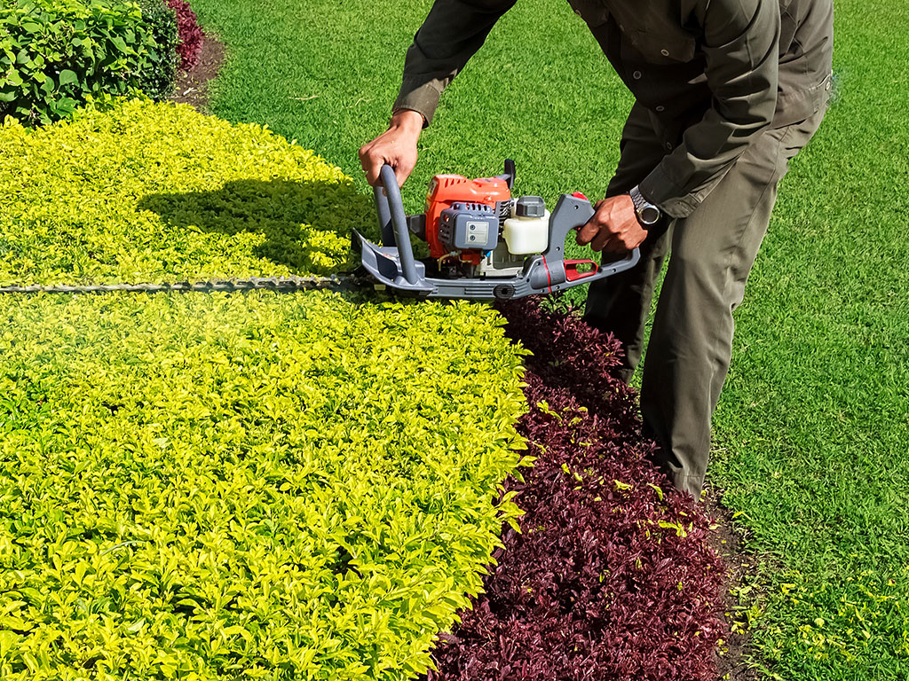 Shrubbery is an important part of a healthy and attractive lawn. At Sunrise Landscaping Corp. we are very careful to send to your property skilled employees to trim your bushes to a desire shape, for a neat and clean looking yard any time you need Spring, Summer and Fall.