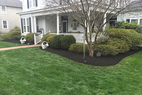 Sunrise Landscaping uses great quality mulch at all variety. A 2-inch to 4-inch layers is adequate to prevent most weed seeds from germinating. Not only for appearance. Mulch also helps to keep the soil well aerate by reducing soil compotation that results when raindrops hit the soil. It also reduces water runoff and soil erosion.
