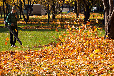 Is that time of the year that you find your lawn covered by leaves. Sunrise Landscaping offers the fall clean up services which will include two visits to your property to blow all leaves to the curb. We also offer the leaf pick up which we will pass by after the leaves are in the curb and vacuum it up to the truck and take it away.